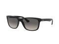 Ray-Ban Rb4181 Solbriller RB 4181 601/71