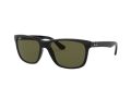 Ray-Ban Rb4181 Solbriller RB 4181 601/9A