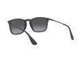 Ray-Ban Chris Solbriller RB 4187 622/8G