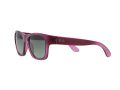 Ray-Ban Rb4194 Solbriller RB 4194 6029/71