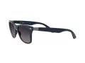 Ray-Ban Wayfarer Liteforce Solbriller RB 4195 6331/8G