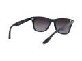 Ray-Ban Wayfarer Liteforce Solbriller RB 4195 6331/8G