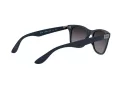 Ray-Ban Wayfarer Liteforce Solbriller RB 4195 6331/8G