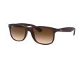 Ray-Ban Andy Solbriller RB 4202 6073/13