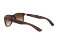 Ray-Ban Andy Solbriller RB 4202 6073/13