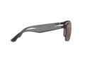 Ray-Ban Solbriller RB 4264 876/6B