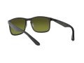 Ray-Ban Solbriller RB 4264 876/6O