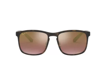 Ray-Ban Solbriller RB 4264 894/6B