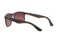 Ray-Ban Solbriller RB 4264 894/6B