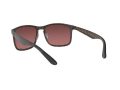 Ray-Ban Solbriller RB 4264 894/6B