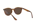 Ray-Ban Solbriller RB 4305 820/73