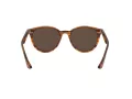 Ray-Ban Solbriller RB 4305 820/73