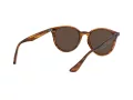 Ray-Ban Solbriller RB 4305 820/73