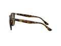Ray-Ban Solbriller RB 4306 710/73