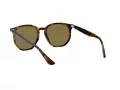 Ray-Ban Solbriller RB 4306 710/73