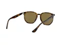 Ray-Ban Solbriller RB 4306 710/73