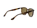 Ray-Ban Solbriller RB 4306 710/73