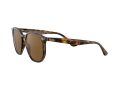 Ray-Ban Solbriller RB 4306 710/83