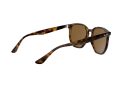 Ray-Ban Solbriller RB 4306 710/83