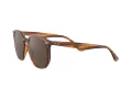 Ray-Ban Solbriller RB 4306 820/73