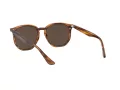 Ray-Ban Solbriller RB 4306 820/73