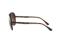 Ray-Ban Solbriller RB 4320/CH 710/6B
