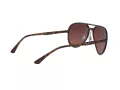 Ray-Ban Solbriller RB 4320/CH 710/6B