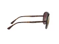 Ray-Ban Solbriller RB 4320/CH 710/6B