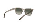 Ray-Ban Solbriller RB 4323 6449/71