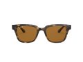 Ray-Ban Solbriller RB 4323 710/83