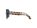 Ray-Ban Solbriller RB 4376 710/80