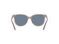 Ray-Ban Solbriller RB 4378 6572/2V