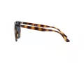 Ray-Ban Solbriller RB 4378 710/80