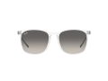 Ray-Ban Solbriller RB 4387 6477/11