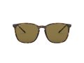 Ray-Ban Solbriller RB 4387 710/73