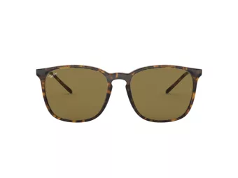Ray-Ban Solbriller RB 4387 710/73