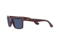Ray-Ban Solbriller RB 4393M F679/80