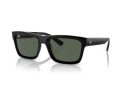 Ray-Ban Warren Solbriller RB 0RB4396 667771