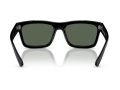 Ray-Ban Warren Solbriller RB 0RB4396 667771
