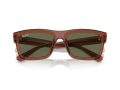 Ray-Ban Warren Solbriller RB 0RB4396 66789A