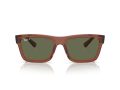 Ray-Ban Warren Solbriller RB 0RB4396 66789A