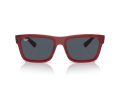 Ray-Ban Warren Solbriller RB 0RB4396 667987