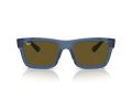 Ray-Ban Warren Solbriller RB 0RB4396 668073
