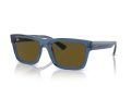 Ray-Ban Warren Solbriller RB 0RB4396 668073