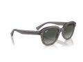 Ray-Ban Erik Solbriller RB 0RB4398 667571