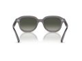 Ray-Ban Erik Solbriller RB 0RB4398 667571