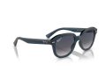 Ray-Ban Erik Solbriller RB 0RB4398 667678