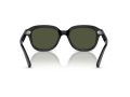 Ray-Ban Erik Solbriller RB 0RB4398 901/31