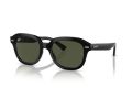 Ray-Ban Erik Solbriller RB 0RB4398 901/31