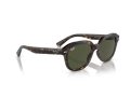 Ray-Ban Erik Solbriller RB 0RB4398 902/31